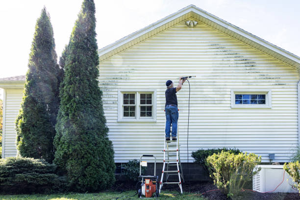 Best Building Exterior Washing  in East Tawas, MI